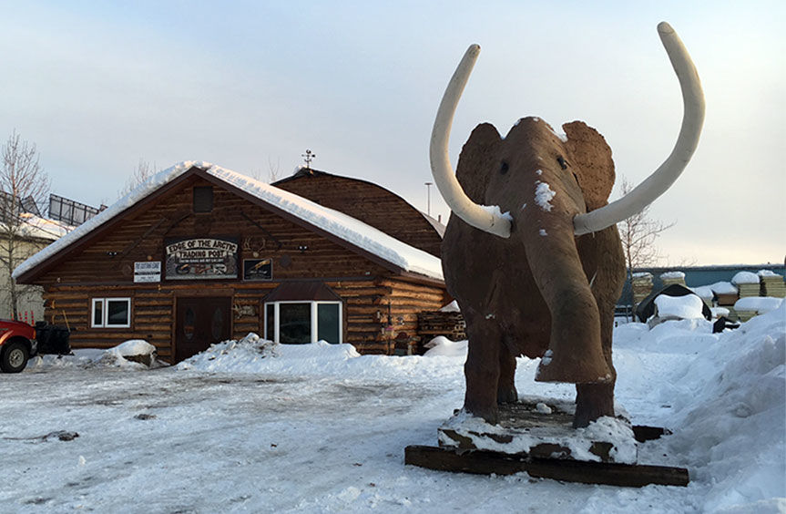 Fairbanks mastodon